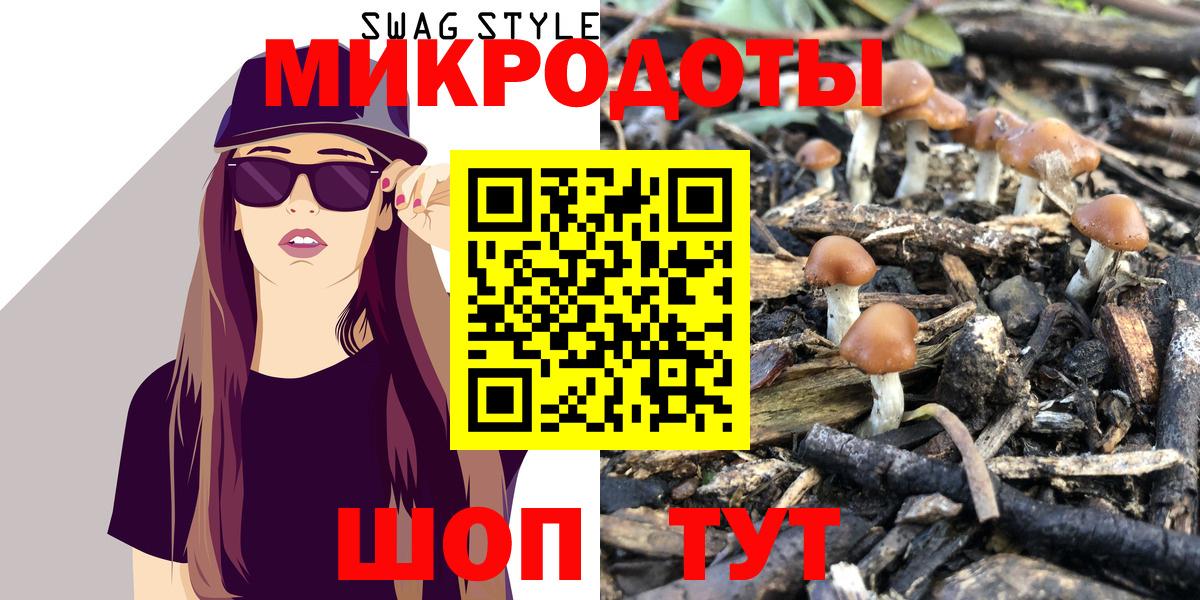 Псилоцибиновые грибы Cubensis Горно-Алтайск