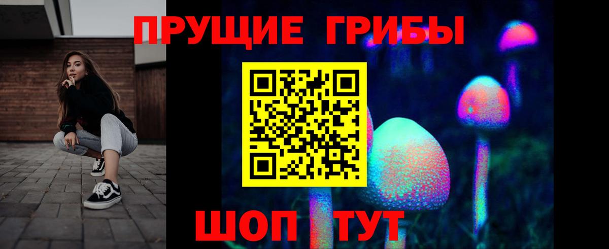 Псилоцибиновые грибы мухоморы  Вход с VPN  Горно-Алтайск 